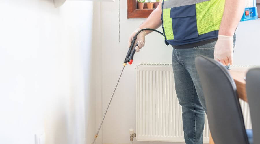 Professional rodent control services in Philadelphia - Rodent Control Philadelphia