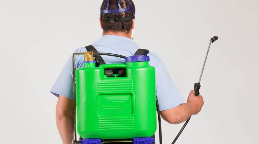 Why choose Rodent Control Philadelphia for rodent control in Philadelphia